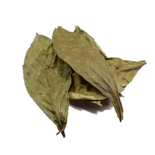 Buy Psychotria Viridis (chacrona) Leaves (500 Grams)