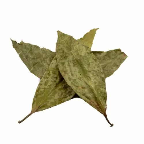 Buy Diplopterys Cabrerana (Chaliponga) Leaves